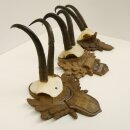 3 pieces of chamois antlers on carved trophy boards SL...