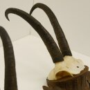 3 pieces of chamois antlers on carved trophy boards SL...