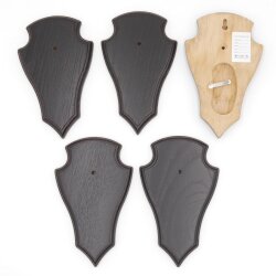 Trophäenschilder Reh 5 Stück Spitz AF 19x11 mit 1 Kieferfach Eiche dunkel ohne Montageklammer GTKv50.63/1KF-5