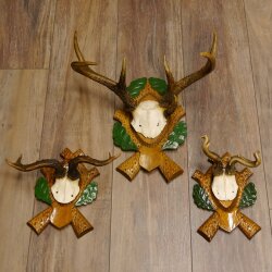 3 pieces of deer antlers, roe deer, roe buck, curiosities, antlers on carved trophy boards 22.1267