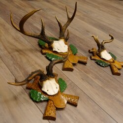 3 pieces of deer antlers, roe deer, roe buck, curiosities, antlers on carved trophy boards 22.1267