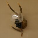 Wandlampe 1 flammig geschnitztes Schild mit Sika Stange...
