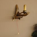 Wandlampe Geweih 1 flammig Rothirschstange Rehstange...