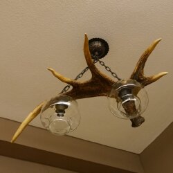 Lampe Deckenlampe Geweihlampe Elchstange Elch Stangen Lampen Leuchte 2 - flammig Lampenschirm