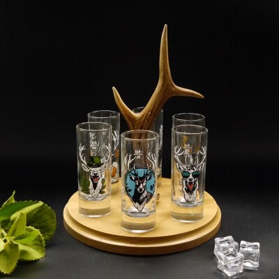 Schnapsanbieter mit 6 Stk. Gläser 2cl 4cl mit Hirsch Design auf Schild HELL mit Rehstange Geschenk 7 Varianten wählbar