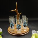 Schnapsanbieter mit 6 Stk. Gläser 2cl 4cl mit Hirsch Design auf Schild BRAUN mit Rehstange Geschenk 7 Varianten wählbar