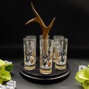 Schnapsanbieter mit 6 Stk. Gläser 2cl 4cl mit Hirsch Design auf Schild SCHWARZ mit Rehstange Geschenk 7 Varianten wählbar
