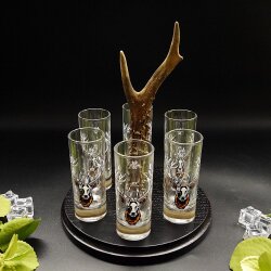 Schnapsanbieter mit 6 Stk. Gläser 2cl 4cl mit Hirsch Design auf Schild SCHWARZ mit Rehstange Geschenk 7 Varianten wählbar