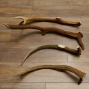4 x Rothirschstange Hirschstangen Hirsch Stange Abwurfstangen für Bastler 71.3.46