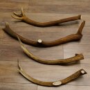 4 x Rothirschstange Hirschstangen Hirsch Stange...