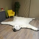 IJsbeer vacht beer vloerkleed met opgezette kop IJsbeer vloerkleed XL taxidermie met vergunning voor verkoop
