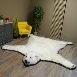 IJsbeer vacht beer vloerkleed met opgezette kop IJsbeer vloerkleed XL taxidermie met vergunning voor verkoop