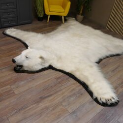 IJsbeer vacht beer vloerkleed met opgezette kop IJsbeer vloerkleed XL taxidermie met vergunning voor verkoop