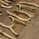 65 x Geweihteilen Hirschteile Stangen abgesägt Gewicht 5,1 kg Hirsch Konvolut
