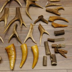 34 parti di corna di cervo per hobbisti Peso 6,8 kg Collana di corna di cervo