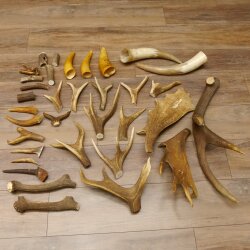 34 parti di corna di cervo per hobbisti Peso 6,8 kg Collana di corna di cervo