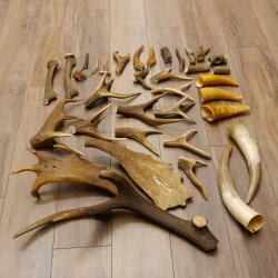34 parti di corna di cervo per hobbisti Peso 6,8 kg Collana di corna di cervo