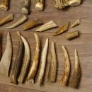 46 parti di corna di cervo per hobbisti Peso 4,9 kg Corna di punta Cervo Collettame