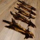 Iltisfell 5 Stück Iltisfelle Fell gebrauchte Tierfelle Konvolut