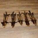 Iltisfell 5 Stück Iltisfelle Fell gebrauchte Tierfelle Konvolut