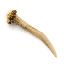 Reehoorn Lengte 11 cm Reehoorn Reehoorn Reehoorn Reehoorn 14.1.258