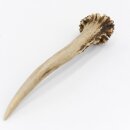 Reehoorn Lengte 11 cm Reehoorn Reehoorn Reehoorn Reehoorn 14.1.258