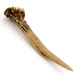 Reehoorn Lengte 11 cm Reehoorn Reehoorn Reehoorn Reehoorn 14.1.258