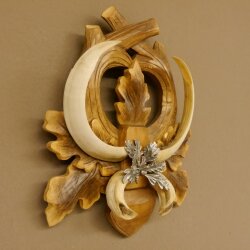 Armes de sanglier Armes de sanglier (Sus scrofa) L jusquà 20,8 cm Trophée de sanglier Armes de sanglier Panneau de trophée