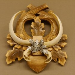 Armes de sanglier Armes de sanglier (Sus scrofa) L jusquà 20,8 cm Trophée de sanglier Armes de sanglier Panneau de trophée