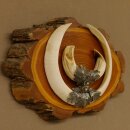 Boar weapons Wild boar weapons (Sus scrofa) L up to 22 cm Trophy Boar weapon Acacia shield