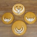 Keilerwaffen 4 er Set Wildschweinwaffen (Sus scrofa) L bis 15 cm Trophäe Keiler Gewaff Trophäenschild