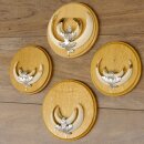 Keilerwaffen 4 er Set Wildschweinwaffen (Sus scrofa) L bis 15 cm Trophäe Keiler Gewaff Trophäenschild
