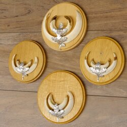 Keilerwaffen 4 er Set Wildschweinwaffen (Sus scrofa) L bis 15 cm Trophäe Keiler Gewaff Trophäenschild