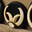 Boar trophies, set of 3 Wild boar trophies (Sus scrofa) L up to approx. 19 cm Boar trophy Trophy plaque
