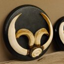 Boar trophies, set of 3 Wild boar trophies (Sus scrofa) L up to approx. 19 cm Boar trophy Trophy plaque