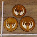 Keilerwaffen 3 er Set Wildschweinwaffen (Sus scrofa) L bis 13,8 cm Trophäe Keiler Gewaff Trophäenschild