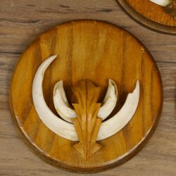 Keilerwaffen 3 er Set Wildschweinwaffen (Sus scrofa) L bis 13,8 cm Trophäe Keiler Gewaff Trophäenschild