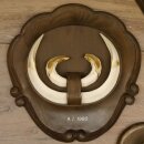 Keilerwaffen 4 er Set Wildschweinwaffen (Sus scrofa) L bis 21 cm Trophäe Keiler Gewaff Trophäenschild