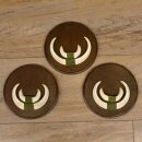Keilerwaffen 3 er Set Wildschweinwaffen (Sus scrofa) Trophäe Keiler Gewaff Trophäenschild