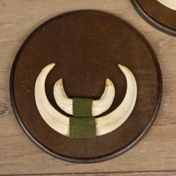 Keilerwaffen 3 er Set Wildschweinwaffen (Sus scrofa) Trophäe Keiler Gewaff Trophäenschild