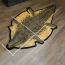 Krokodil Nijlkrokodil Opgezette krokodil met hoofd Opgezette krokodil met toestemming voor verkoop Lengte 340 cm