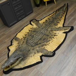 Krokodil Nijlkrokodil Opgezette krokodil met hoofd Opgezette krokodil met toestemming voor verkoop Lengte 340 cm