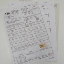 Serval Tapis Tête empaillée avec autorisation de vente