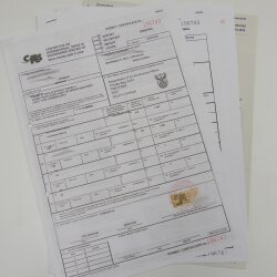 Serval Tapis Tête empaillée avec autorisation de vente