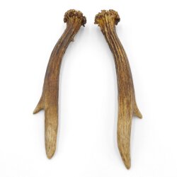 Reehoorns Reehoorns Paar 2 stuks Lengte 18 cm 14.2.458