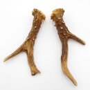 Reehoorns Reehoorns Paar 2 stuks Lengte 14 cm 14.2.461