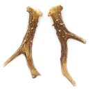 Reehoorns Reehoorns Paar 2 stuks Lengte 14 cm 14.2.461