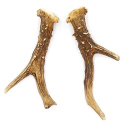 Reehoorns Reehoorns Paar 2 stuks Lengte 14 cm 14.2.461