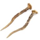 Deer antlers Pair of deer antlers 2 pieces Length 19 cm 14.2.468