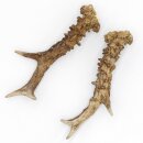 Reehoorns Reehoorns Paar 2 stuks Lengte 19 cm 14.2.477